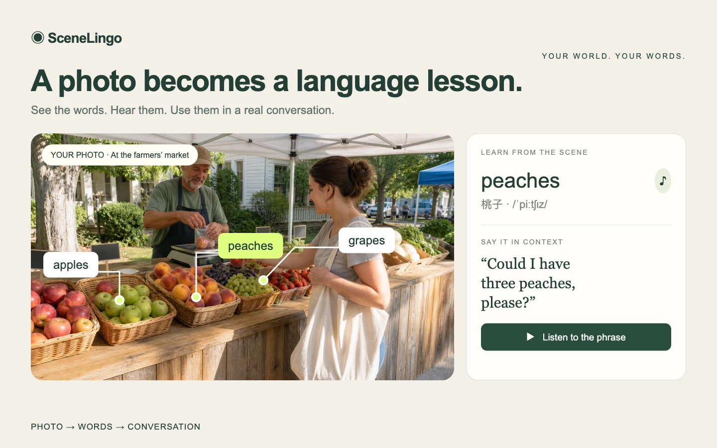 SceneLingo photo labels, vocabulary and phrase preview